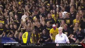 Gif collections, conveniently divided by categories. Kalajdzic Gifs Get The Best Gif On Giphy