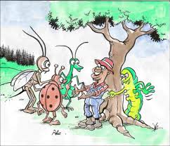 For the purposes of this 10 step guide to implementing an integrated pest management program this document has been reviewed by centers for disease control and. Natural Resources Institute Obstacles To Ipm Adoption In Developing Countries