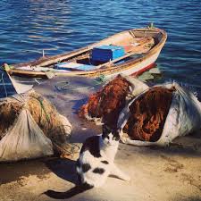Burgazada Istanbul Turkiye Istanbul Adalar Turkiye