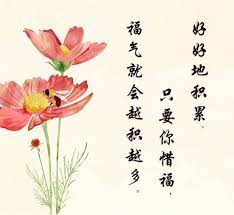 好好地积累 只要你惜福 福气就会越积越多 home decor decals home decor decor