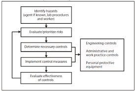 guidelines for safe work practices in human and animal