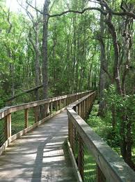 17001 panama city beach pkwy. Pcb Conservation Park Panama City Beach Fl