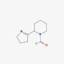 Image result for Dichilus lebeckioides
