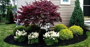 Use These Colorful Shrubs And Shrub Sized Trees To Offer Year Round Interest In Your Front Yard Front Yard Landscaping Design House Landscape Home Landscaping