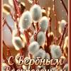 Привітання з вербною неділею в прозі. Https Encrypted Tbn0 Gstatic Com Images Q Tbn And9gcsl4qlu Xd9kb7gvhi8cep Fge Zjplasrc 8bxqfdxso 6p065 Usqp Cau