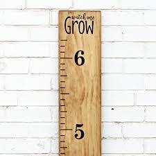 Diy Vinyl Growth Chart Ruler Decal Kit Watch Me Grow