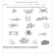 Anexos Invertebrados Geometric Tattoo Animals Habitats