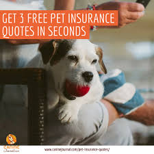 What S The Best Pet Insurance Company For 2020 Caninejournal Com Pet Insurance Quotes Pet Insurance Reviews Dog Insurance