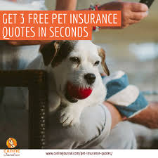 Although most homeowners insurance companies will insure dogs, certain breeds like pitbulls are harder to insure, and companies won't dog owners often find themselves facing a particular dilemma when trying to purchase homeowners insurance. Compare The Best Pet Insurance Plans 2021 Coverage Comparison Charts Pet Insurance Quotes Pet Insurance Reviews Best Pet Insurance