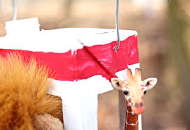 Seilbahn bauen ohne plan aber das war mega und auch bisschen gefährlich. Mit Kindern Eine Seilbahn Fur Kuscheltiere Basteln Kizz