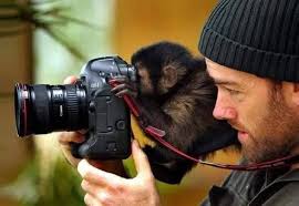 Please say hello if you still active in the grup 🥰 And This 65 Animals Who  Want to Be Photographers! 😱😍🤣