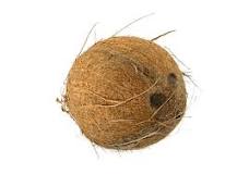 Noix de coco | Pomona Export