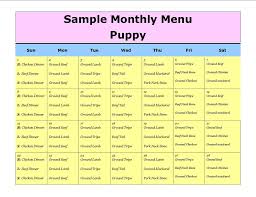 13 Best Photos Of Dog Food Menu Puppy Feeding Schedule