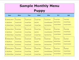 13 Best Photos Of Dog Food Menu Puppy Feeding Schedule