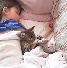 Managed by a rad human. This Little Girl With Autism Never Used To Speak Until She Bonded With A Cat
