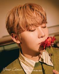 Mediafire, 4shared, mega.co.nz, zippyshare, uploaded.to. Seventeen 8th Mini Album Your Choice Official Photo One Side Ver Kpopmap