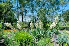 Zentrum für angewandte pastoralforschung | rub‏ @zapbochum 8 дек. Botanischer Garten Bochum