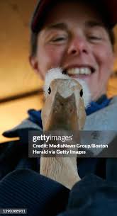 21 Phil Monahan Stock Photos, High-Res Pictures, and Images