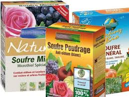 Dangereux, ne veut pas dire bien payé. Soufre Emploi Dosage Et Utilisation Au Jardin Bio