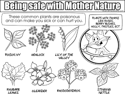 Of the 10 plants shown, only two are poisonous? Many Poisonous Plants Coloring Mother Nature Safety