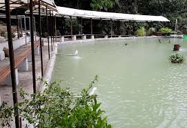 Pembayaran mudah, pengiriman cepat & bisa cicil 0%. Kolam Memancing Bukit Hartamas Cheras Home Facebook