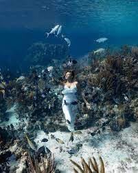 Breathtaking Underwater Photography By Andre Musgrove Underwater Photography Underwater Photographer Ocean Photography