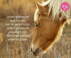 Pin By Sofie On Spreuken En Facebook Covers Horse Quotes Feel Good Quotes Riding Quotes