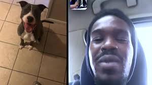 Un soldato parte per l'Iraq e la fidanzata gli dice che il cane Buck è  morto, ma sei anni dopo scopre la verità