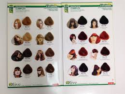 iso hair color chart104 shades hair color swatch book color