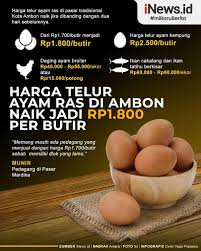 10 rating tv dan sinetron terpopuler hari ini, senin 17 mei 2021: Infografis Harga Telur Ayam Ras Di Ambon Naik