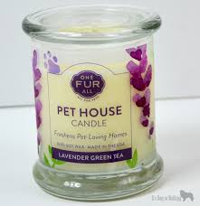 When i initially wrote them up for popsugar, it was based on the wholly positive reviews alone; Pet House Candles For Dog Health It S Dog Or Nothing