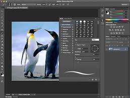 Nov 30, 2020 · adobe photoshop cs6 free download for photo editing adobe photoshop cs6 is one of the golden bar of the company's creative suite of applications. Adobe Photoshop Cs6 Free Download With Crack File Free Games And Software Download