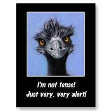 Emu Funny Saying For Tense Boss Or Others Postcard Zazzle Com In 2021 Funny Quotes Funny Captions Funny