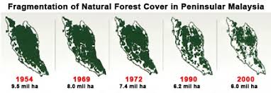Explore interactive tree cover loss data charts and analyze malaysia forest trends, including land use change, deforestation rates and forest fires. No Other Country Is Losing Their Forests Like Malaysia These Maps Will Shock You