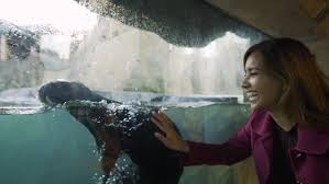 Maybe you would like to learn more about one of these? Vancouver Aquarium Photos Facebook