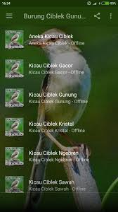 Suara ciblek kristal terbaru gratis dan mudah dinikmati. Suara Burung Ciblek Gunung Fur Android Apk Herunterladen