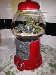Pin By Lisa Lemus On My Next Big Project Diy Succulent Terrarium Bubble Gum Machine Succulent Terrarium