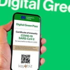 Come scaricare il green pass. Covid Il Garante Ok Al Green Pass Su Immuni Blocco Provvisorio Sull App Io Tgcom24