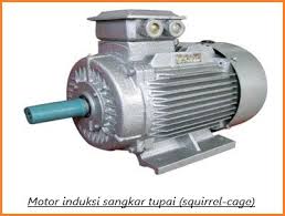 Prinsip kerja motor induksi yaitu apabila pada kumparan stator dipotong energi listrik tiga fasa maka akan timbul medan putar dengan kecepatan. Motor Induksi Sangkar Tupai Squirrel Cage Dan Cara Kerjanya Belajar Elektronika