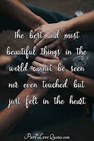 Whether it's a message for a special someone's valentine's card, or you're looking for a sentiment to add to your proposal idea, or if you need quotes for your anniversary, love quotes can help put how you feel into words. Words Simply Cannot Tell How Much I Love You There Aren T Enough Words In The Purelovequotes