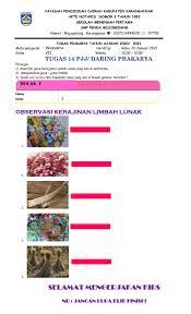 Maybe you would like to learn more about one of these? Tugas Pjj 14 Prakarya Kelas 7 Worksheet