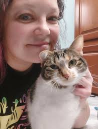 Stray cat in Katy, Texas, being fed