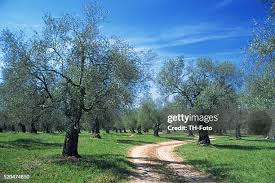 169 Sonny Summers Stock Photos, High-Res Pictures, and Images