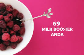 Senarai 69 Makanan Banyakkan Susu Milk Booster Anda Mithali Moms