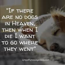 What to say when a dog dies. 57 Heartbreaking Loss Of Dog Quotes Images Comforting Ways To Remember Your Pal Sympathy Card Messages