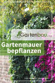 Originelle Ideen Fur Die Bepflanzung Der Gartenmauer Welche Stauden Eignen Sich Fur Die Bepflanzung Der Gartenmauer Was Muss Ich D Bepflanzung Stauden Garten