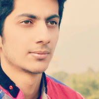 PDF) THE DETERMINANTS OF HRM FORMALITY AND ORGANISATIONAL PERFORMANCE IN  SMEs IN PAKISTAN