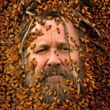 What's All The Buzz? Bee Czar Premieres March 9 On Discovery Channel