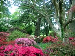 Most Beautiful Gardens In The World Most Beautiful Gardens Beautiful Gardens Beautiful Flowers Garden