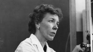 Archivo de etiqueta: zoología